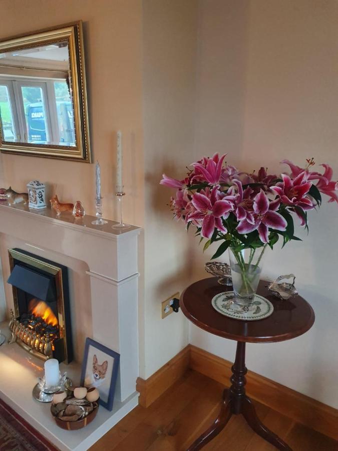 The Croft Guest House Narberth Exteriör bild